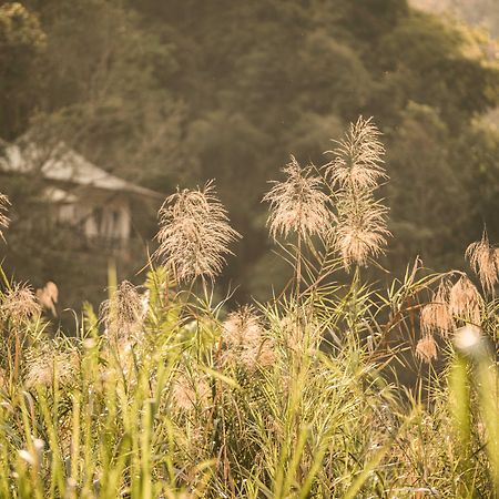 Four Seasons Tented Camp Golden Triangle Εξωτερικό φωτογραφία