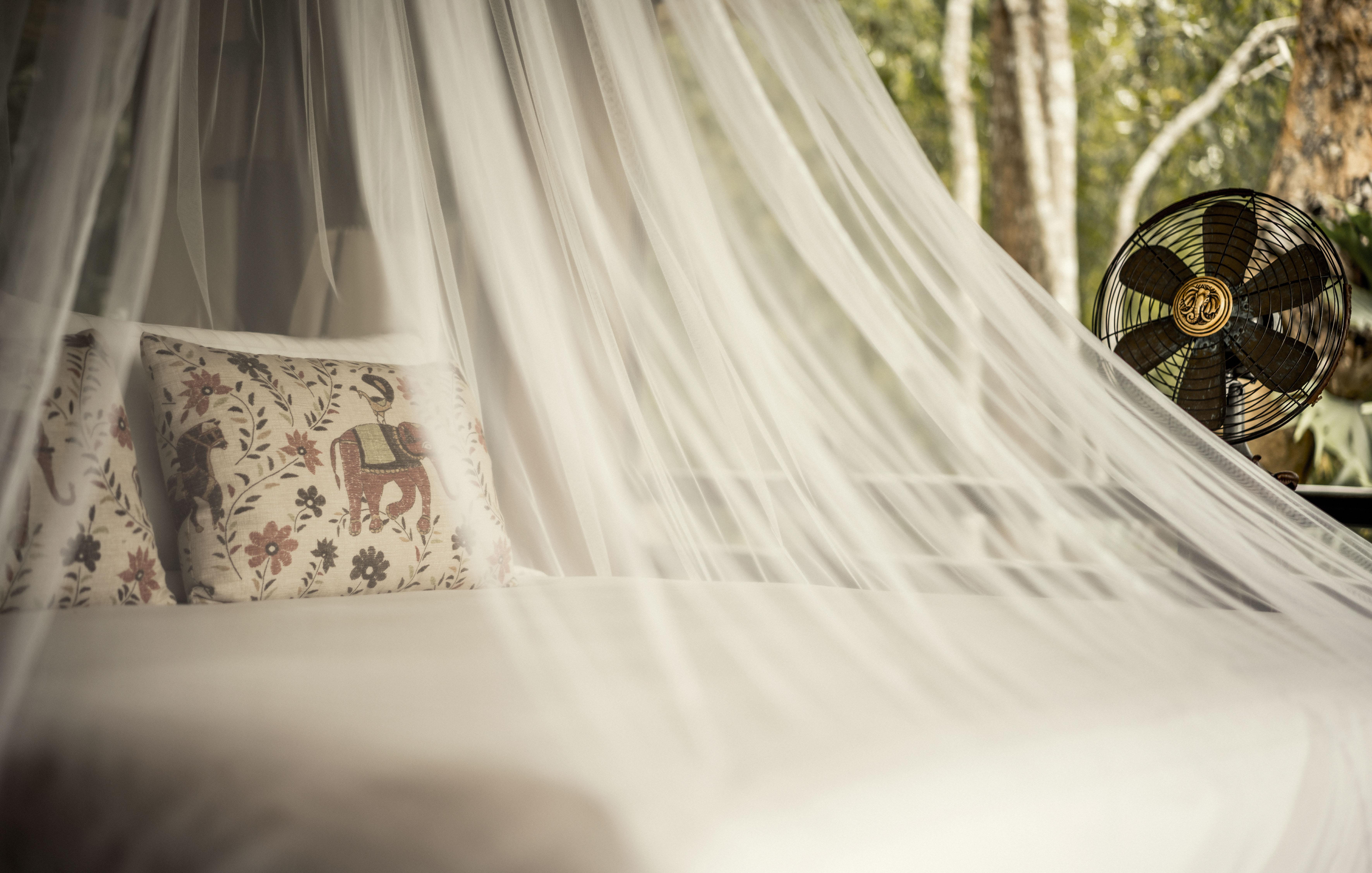 Four Seasons Tented Camp Golden Triangle Εξωτερικό φωτογραφία