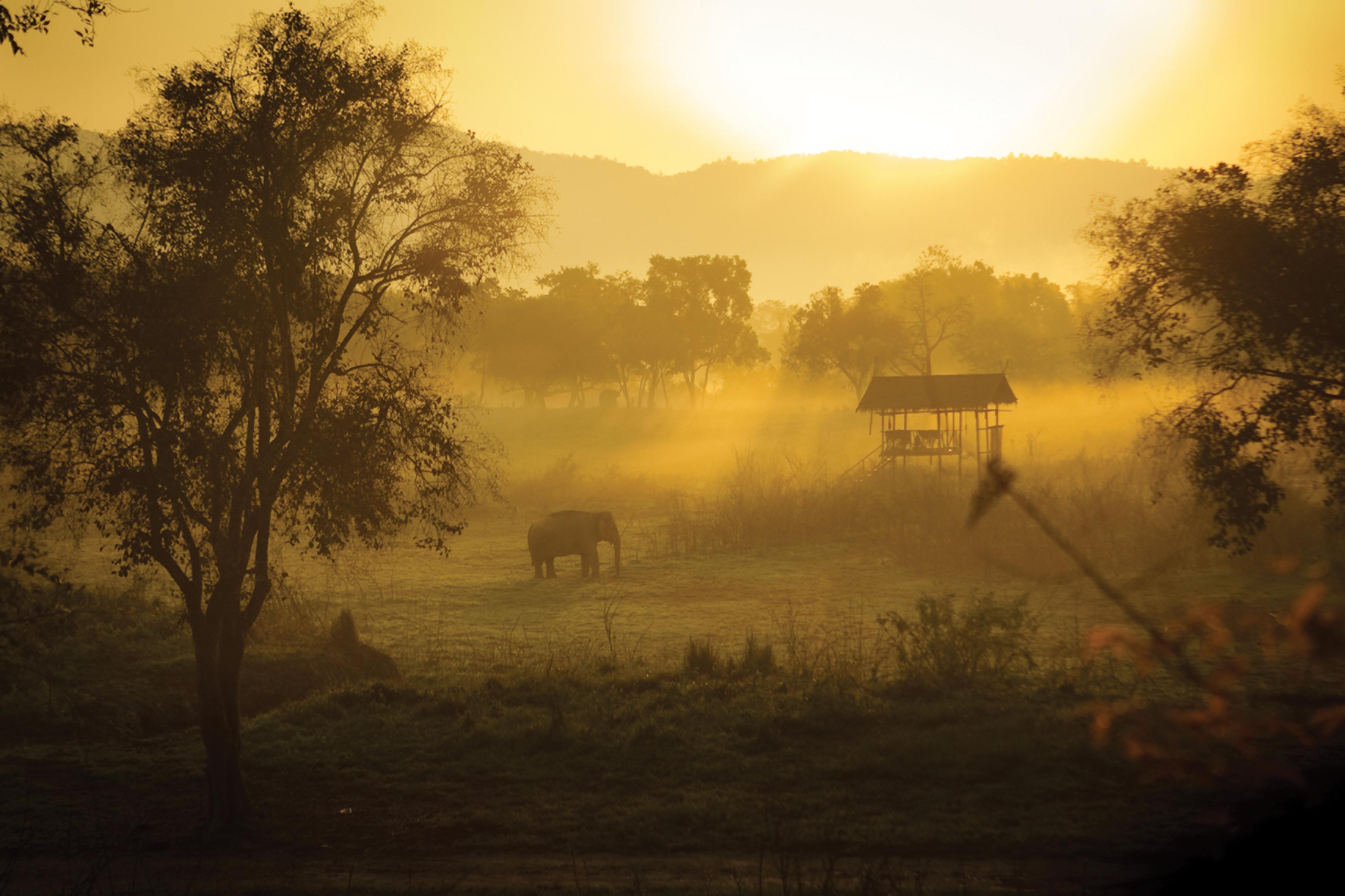 Four Seasons Tented Camp Golden Triangle Εξωτερικό φωτογραφία